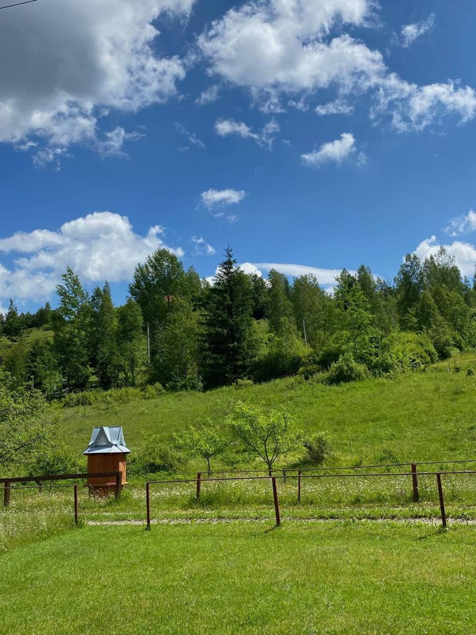 Карпатська Полонина Yaremche Exterior foto